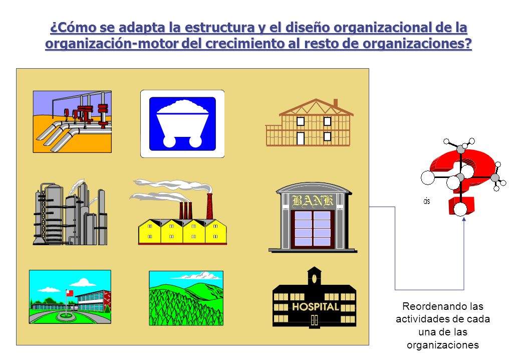Reordenando las actividades de cada una de las organizaciones