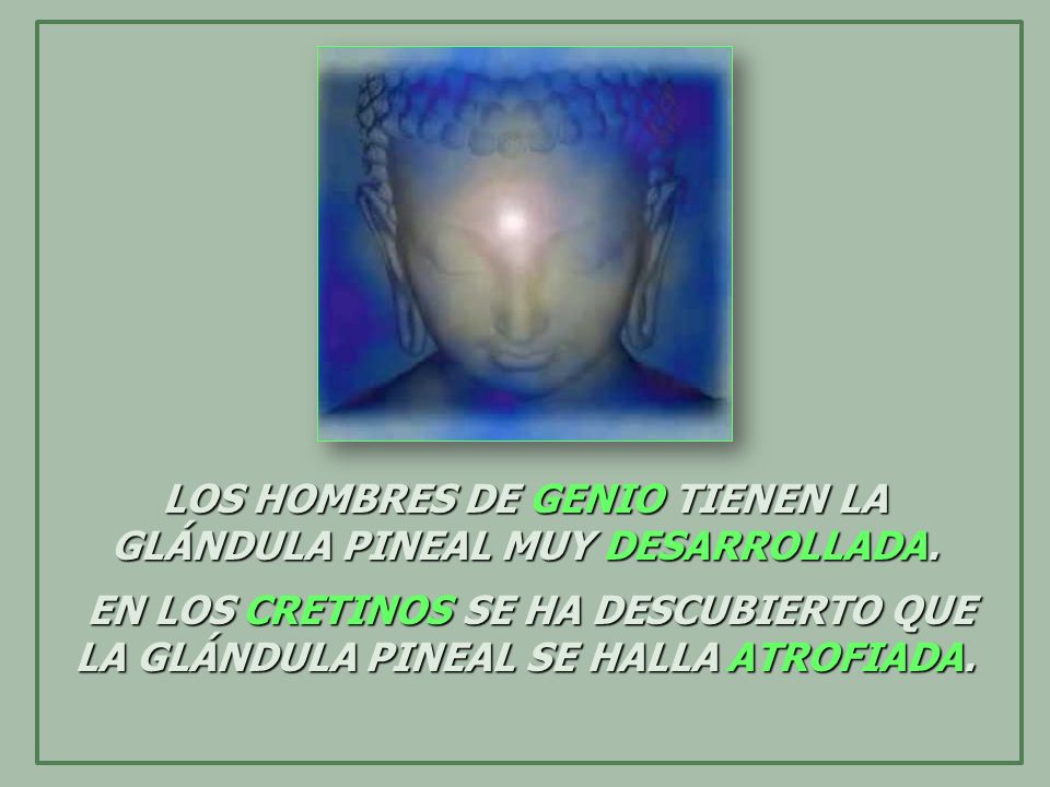 LOS HOMBRES DE GENIO TIENEN LA GLÁNDULA PINEAL MUY DESARROLLADA.