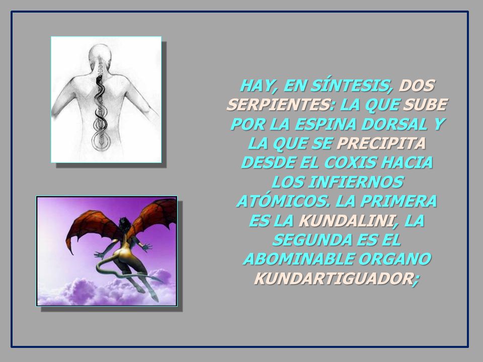 HAY, EN SÍNTESIS, DOS SERPIENTES: LA QUE SUBE POR LA ESPINA DORSAL Y LA QUE SE PRECIPITA DESDE EL COXIS HACIA LOS INFIERNOS ATÓMICOS.