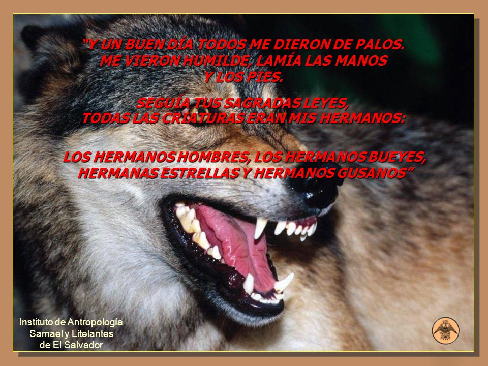SEGUÍA TUS SAGRADAS LEYES, TODAS LAS CRIATURAS ERAN MIS HERMANOS: