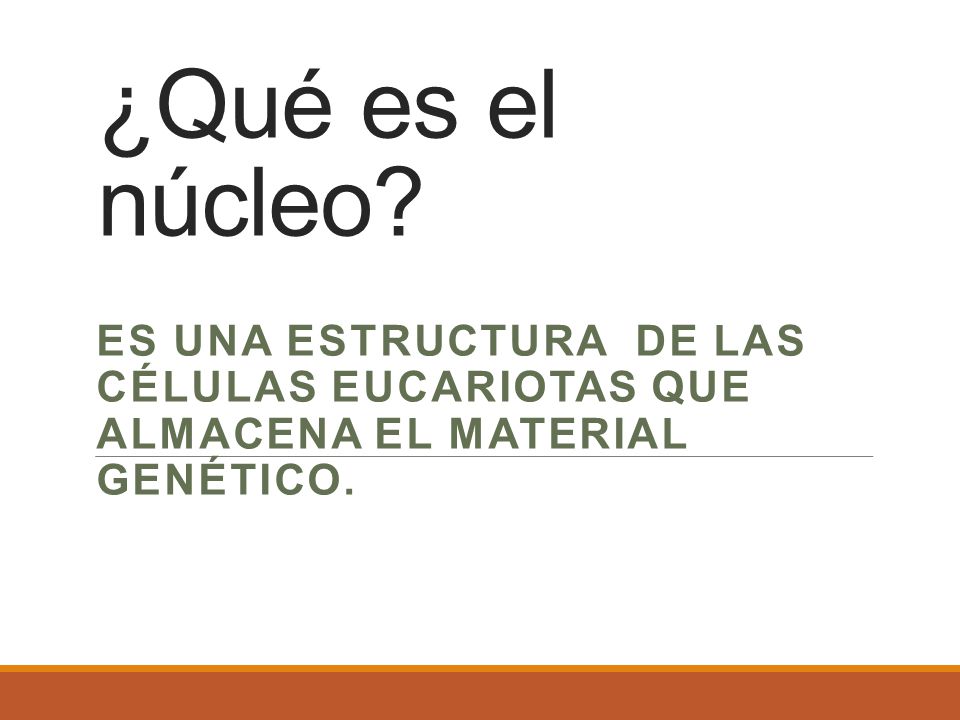 ¿Qué es el núcleo.
