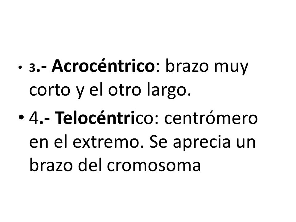 3.- Acrocéntrico: brazo muy corto y el otro largo.