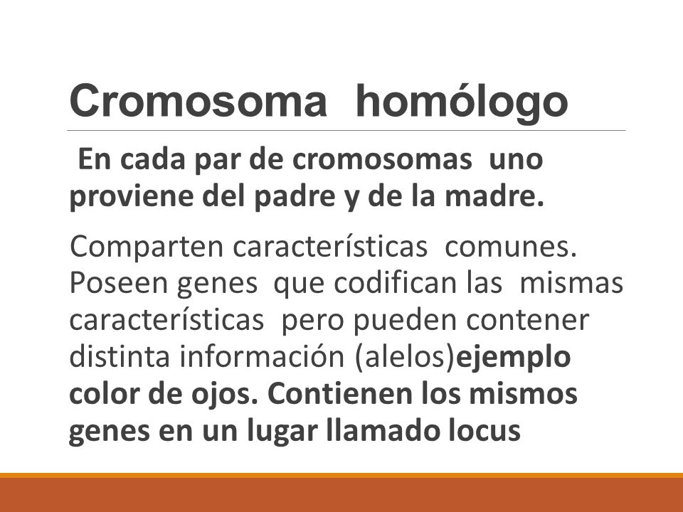 Cromosoma homólogo En cada par de cromosomas uno proviene del padre y de la madre.