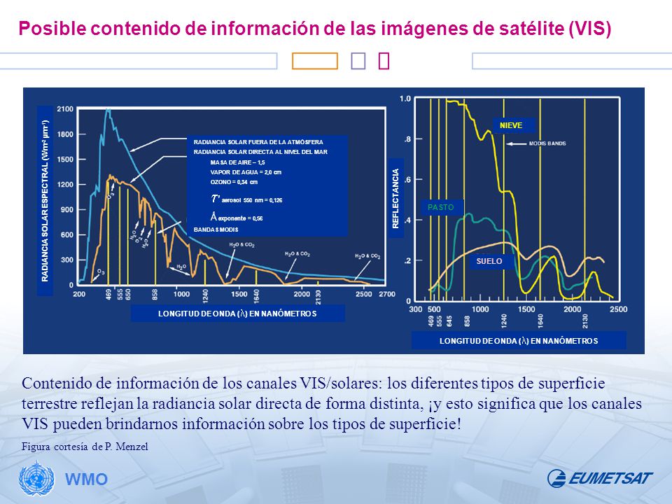 Posible contenido de información de las imágenes de satélite (VIS)
