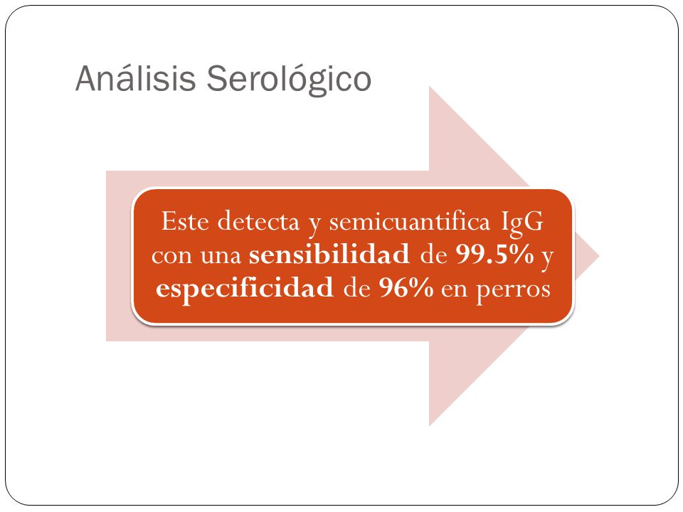 Análisis Serológico Este detecta y semicuantifica IgG con una sensibilidad de 99.5% y especificidad de 96% en perros.