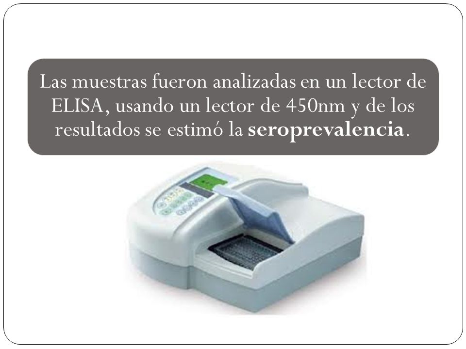 Las muestras fueron analizadas en un lector de ELISA, usando un lector de 450nm y de los resultados se estimó la seroprevalencia.