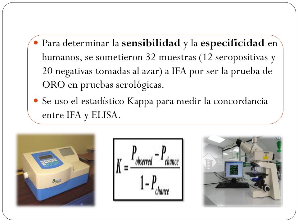 Para determinar la sensibilidad y la especificidad en humanos, se sometieron 32 muestras (12 seropositivas y 20 negativas tomadas al azar) a IFA por ser la prueba de ORO en pruebas serológicas.
