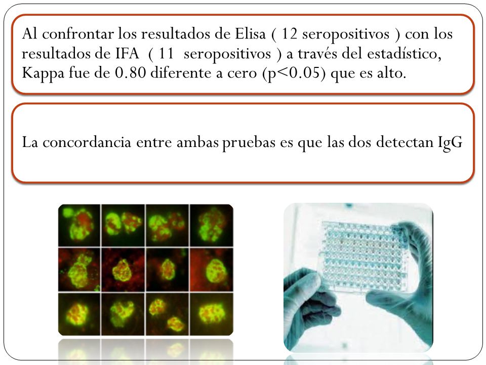 Al confrontar los resultados de Elisa ( 12 seropositivos ) con los resultados de IFA ( 11 seropositivos ) a través del estadístico, Kappa fue de 0.80 diferente a cero (p<0.05) que es alto.