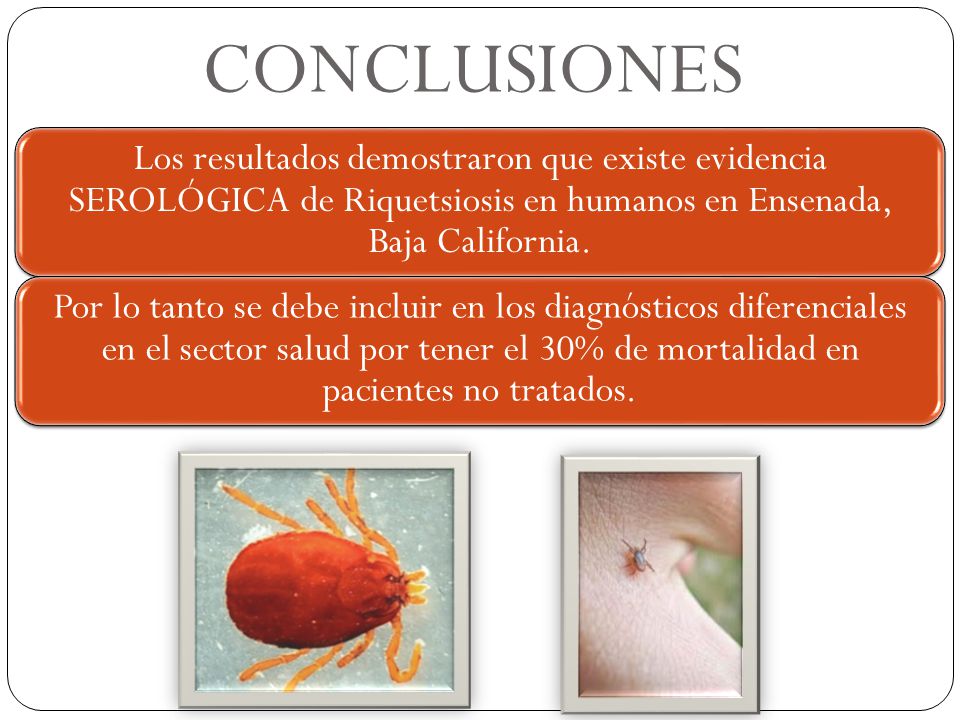 CONCLUSIONES Los resultados demostraron que existe evidencia SEROLÓGICA de Riquetsiosis en humanos en Ensenada, Baja California.