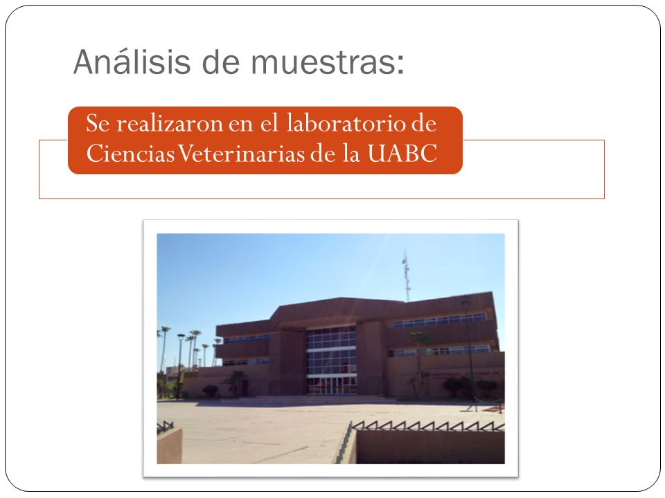 Análisis de muestras: Se realizaron en el laboratorio de Ciencias Veterinarias de la UABC