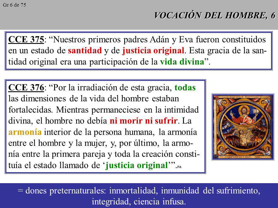 CCE 375: Nuestros primeros padres Adán y Eva fueron constituidos