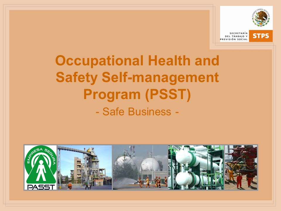 Occupational Health and Safety Self-management Program (PSST)