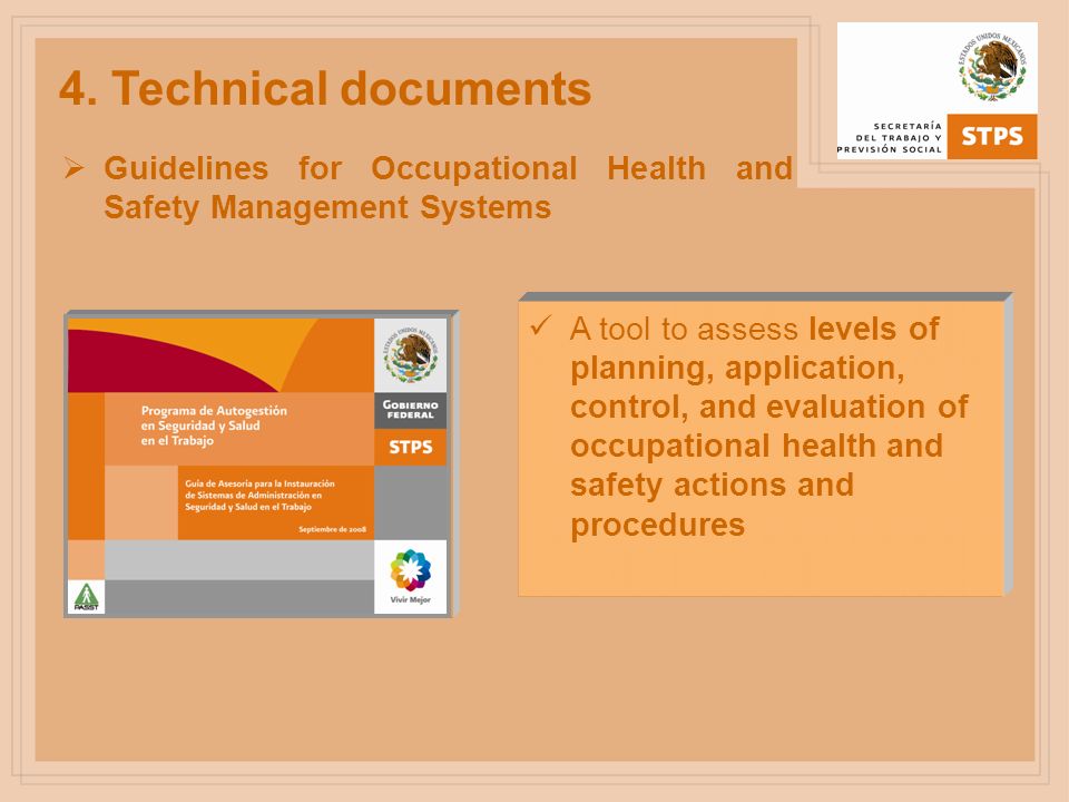 4. Technical documents Guidelines for Occupational Health and Safety Management Systems.