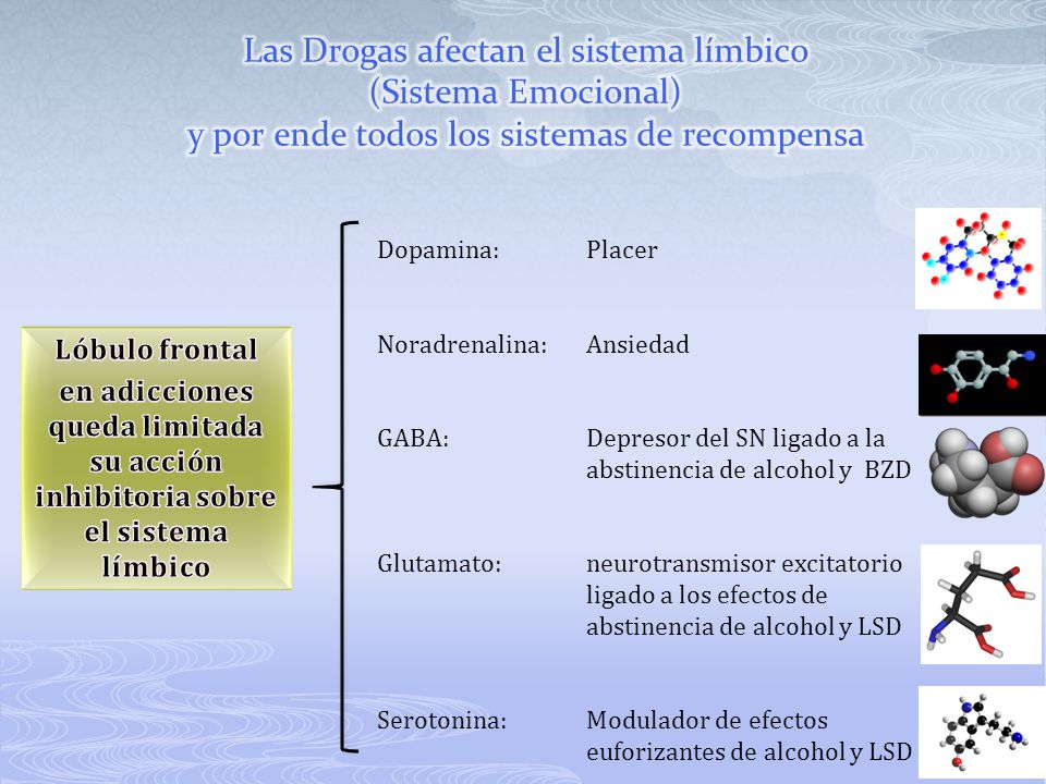 Las Drogas afectan el sistema límbico (Sistema Emocional) y por ende todos los sistemas de recompensa
