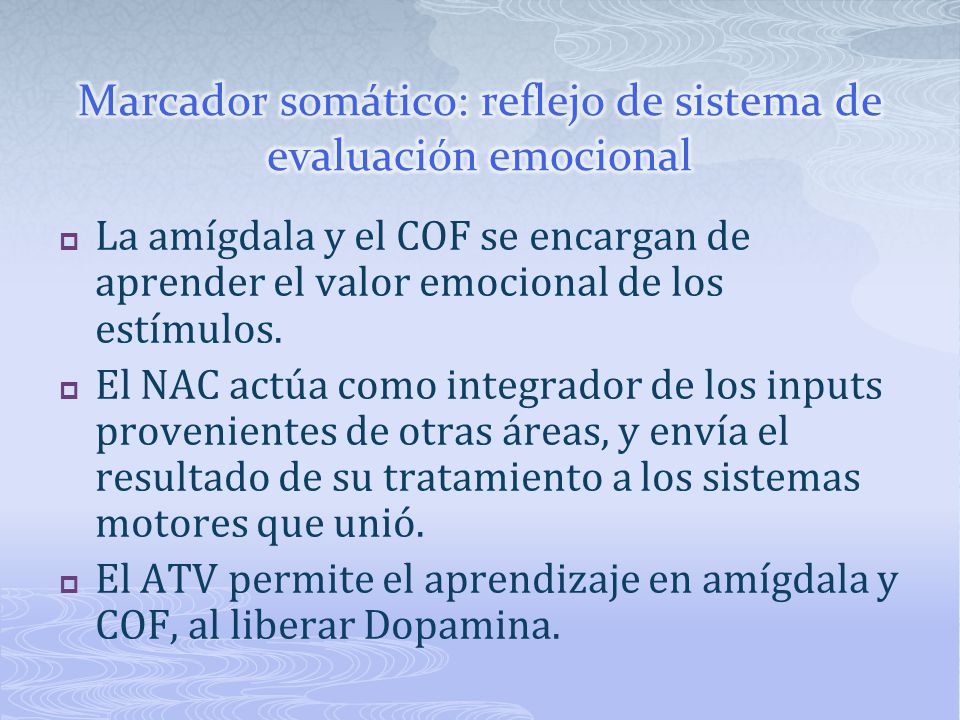 Marcador somático: reflejo de sistema de evaluación emocional