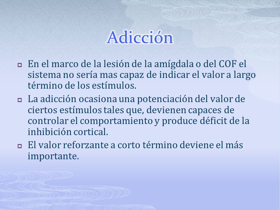 Adicción En el marco de la lesión de la amígdala o del COF el sistema no sería mas capaz de indicar el valor a largo término de los estímulos.