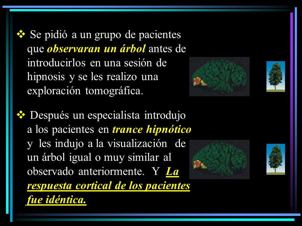 Se pidió a un grupo de pacientes que observaran un árbol antes de introducirlos en una sesión de hipnosis y se les realizo una exploración tomográfica.