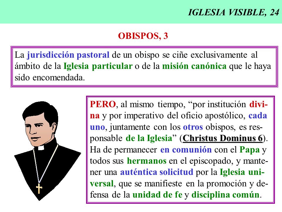 IGLESIA VISIBLE, 24 OBISPOS, 3. La jurisdicción pastoral de un obispo se ciñe exclusivamente al.