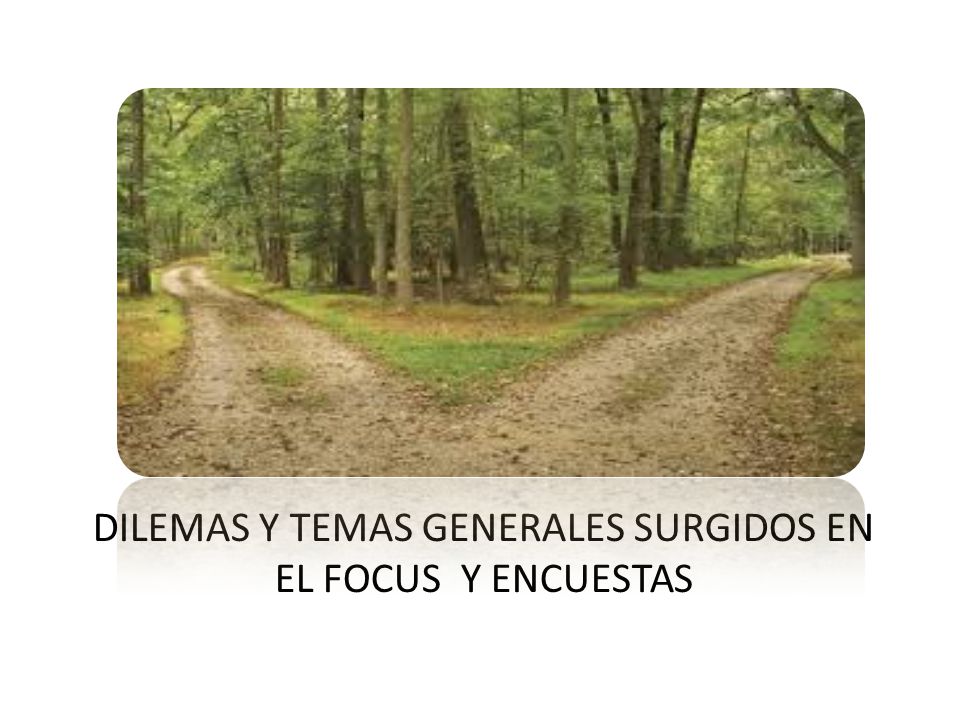 Dilemas y temas generales surgidos en el focus y encuestas