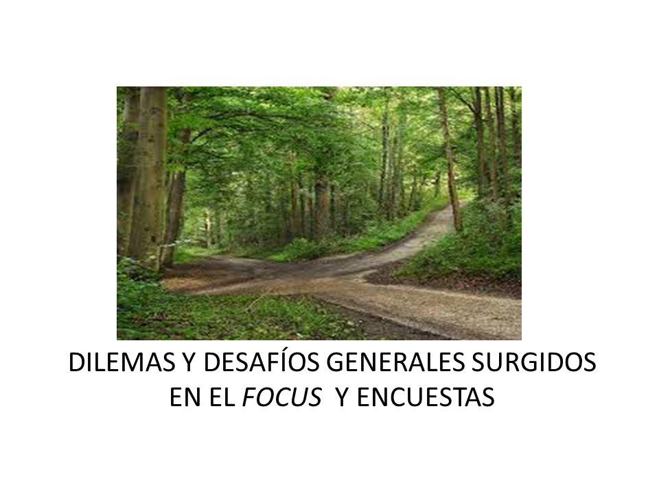 Dilemas y desafíos generales surgidos en el focus y encuestas
