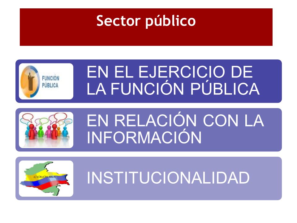 Sector público EN EL EJERCICIO DE LA FUNCIÓN PÚBLICA