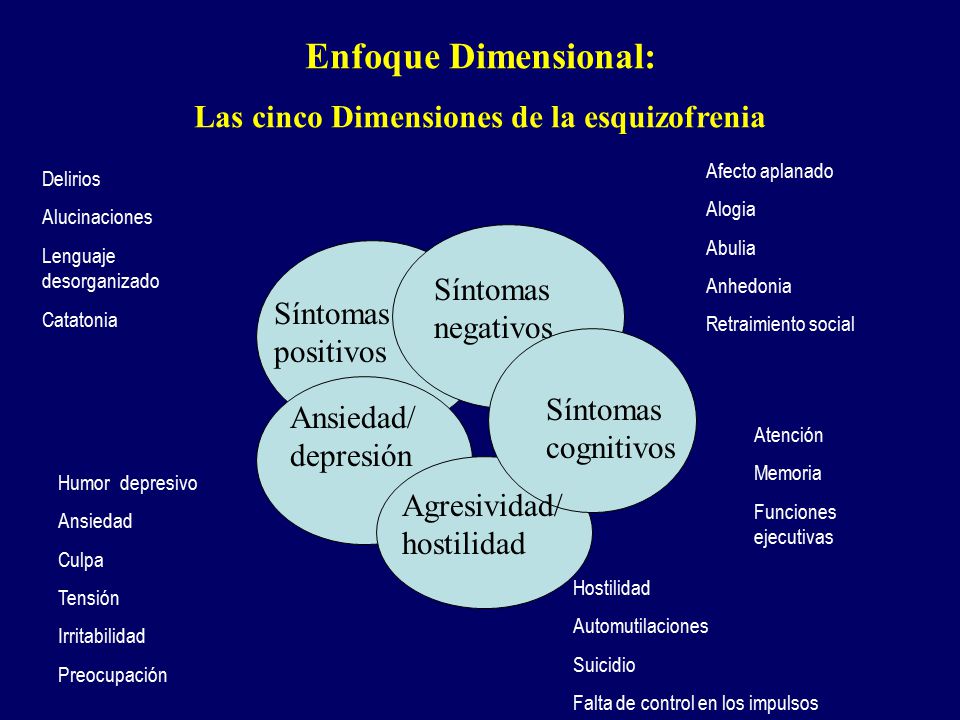 Las cinco Dimensiones de la esquizofrenia