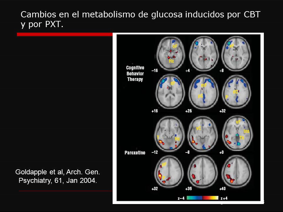 Cambios en el metabolismo de glucosa inducidos por CBT y por PXT.