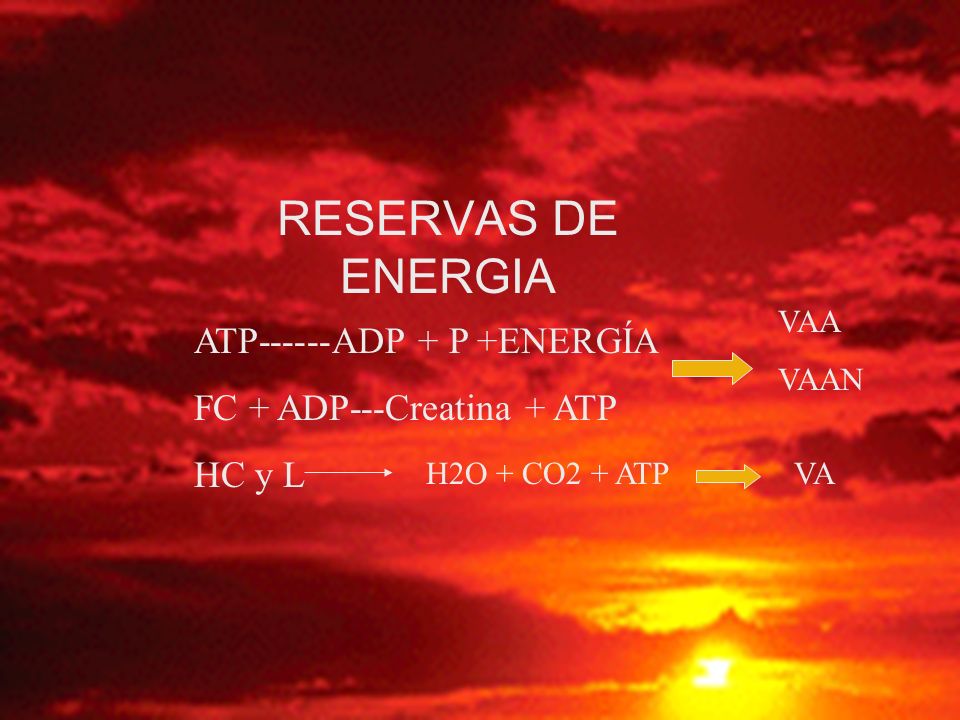 RESERVAS DE ENERGIA ATP------ADP + P +ENERGÍA