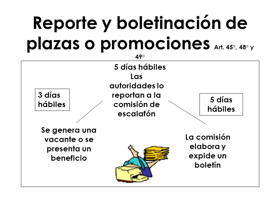 Reporte y boletinación de plazas o promociones Art. 45°, 48° y 49°