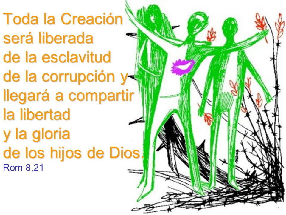 Toda la Creación será liberada de la esclavitud de la corrupción y llegará a compartir la libertad y la gloria de los hijos de Dios.