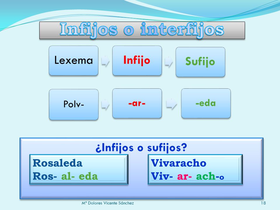 Infijos o interfijos ¿Infijos o sufijos Polv- -ar- -eda Rosaleda
