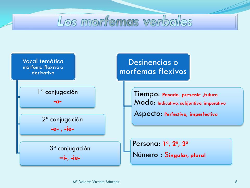 Los morfemas verbales Vocal temática morfema flexivo o derivativo. 1ª conjugación. -a- 2ª conjugación.