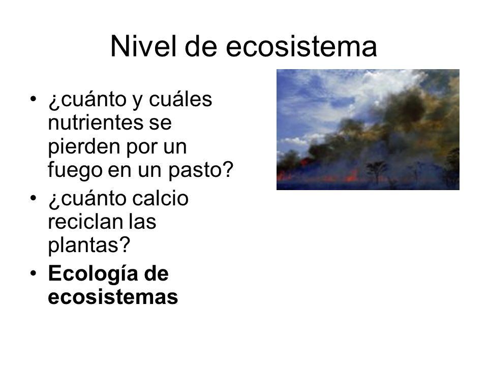 Nivel de ecosistema ¿cuánto y cuáles nutrientes se pierden por un fuego en un pasto ¿cuánto calcio reciclan las plantas