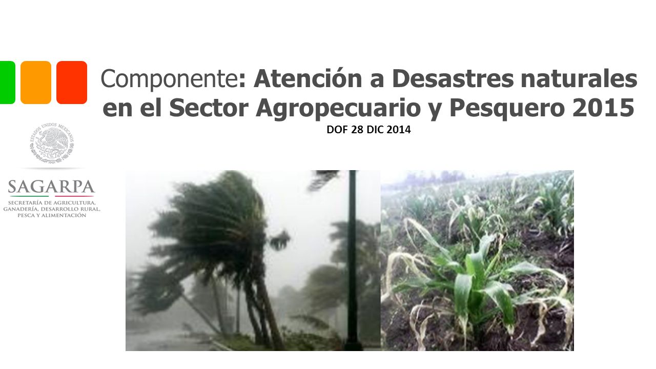 Componente: Atención a Desastres naturales en el Sector Agropecuario y Pesquero 2015