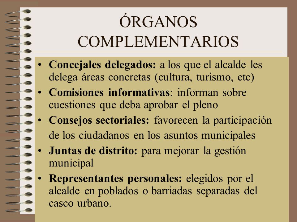 ÓRGANOS COMPLEMENTARIOS