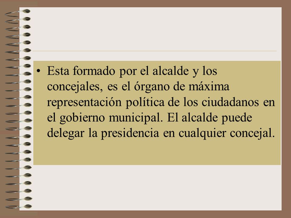 Esta formado por el alcalde y los concejales, es el órgano de máxima representación política de los ciudadanos en el gobierno municipal.