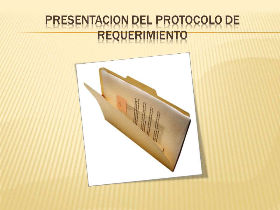 Presentacion del protocolo de requerimiento