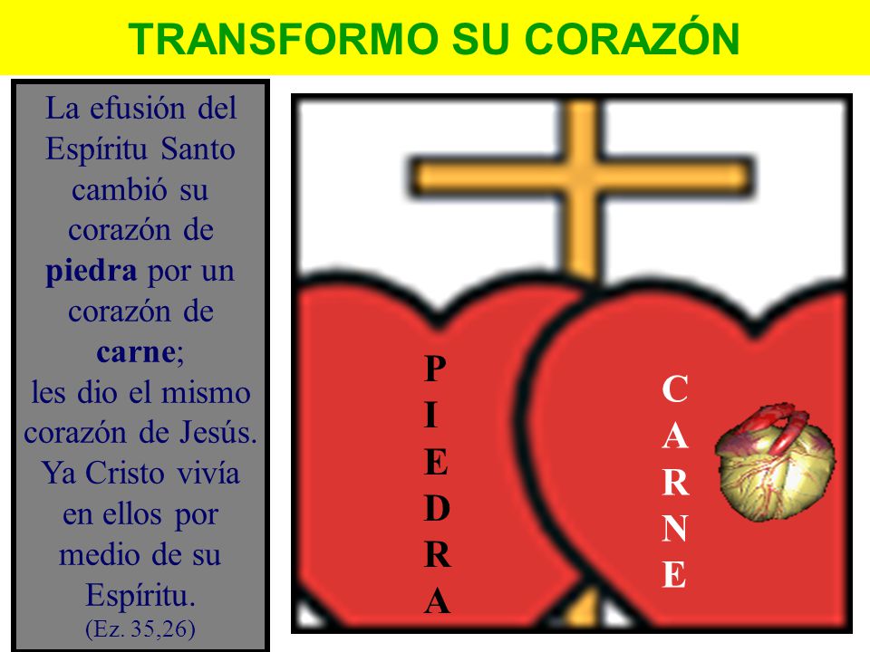 TRANSFORMO SU CORAZÓN P I C A E D R NE R A