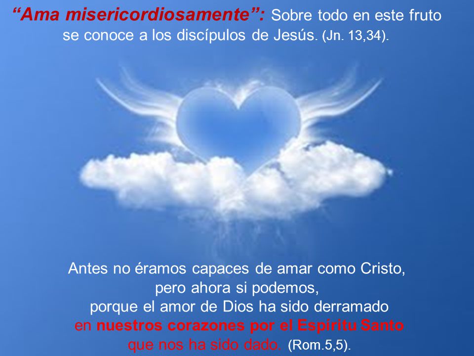 Ama misericordiosamente : Sobre todo en este fruto se conoce a los discípulos de Jesús. (Jn. 13,34).