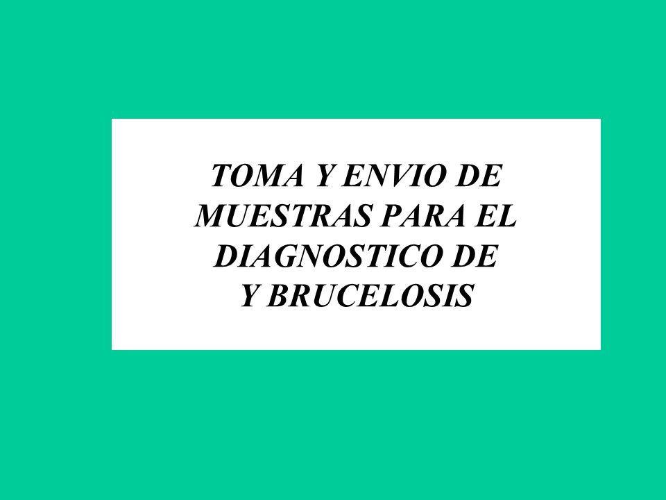 TOMA Y ENVIO DE MUESTRAS PARA EL DIAGNOSTICO DE Y BRUCELOSIS