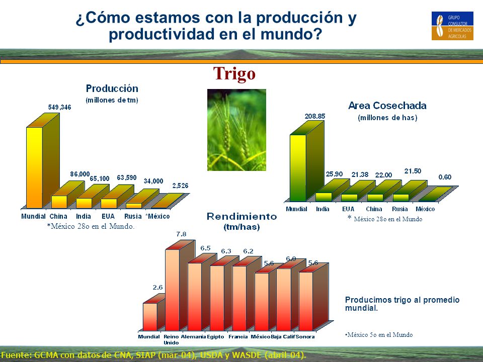 ¿Cómo estamos con la producción y productividad en el mundo