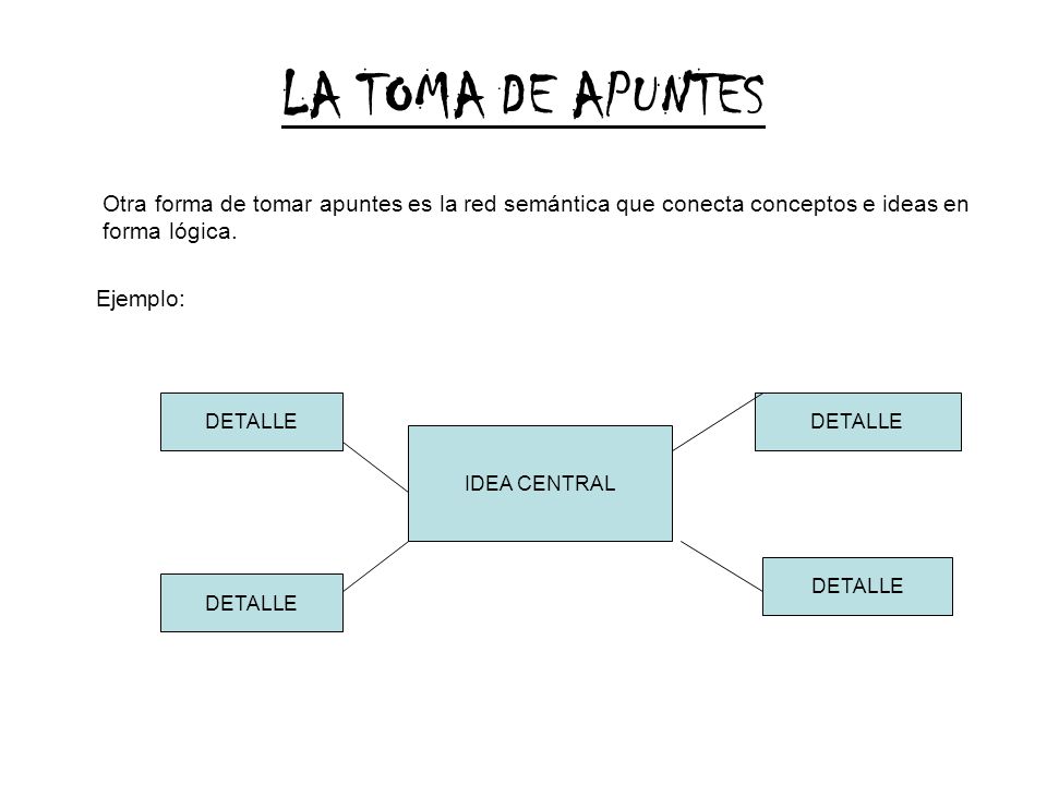 LA TOMA DE APUNTES Otra forma de tomar apuntes es la red semántica que conecta conceptos e ideas en forma lógica.