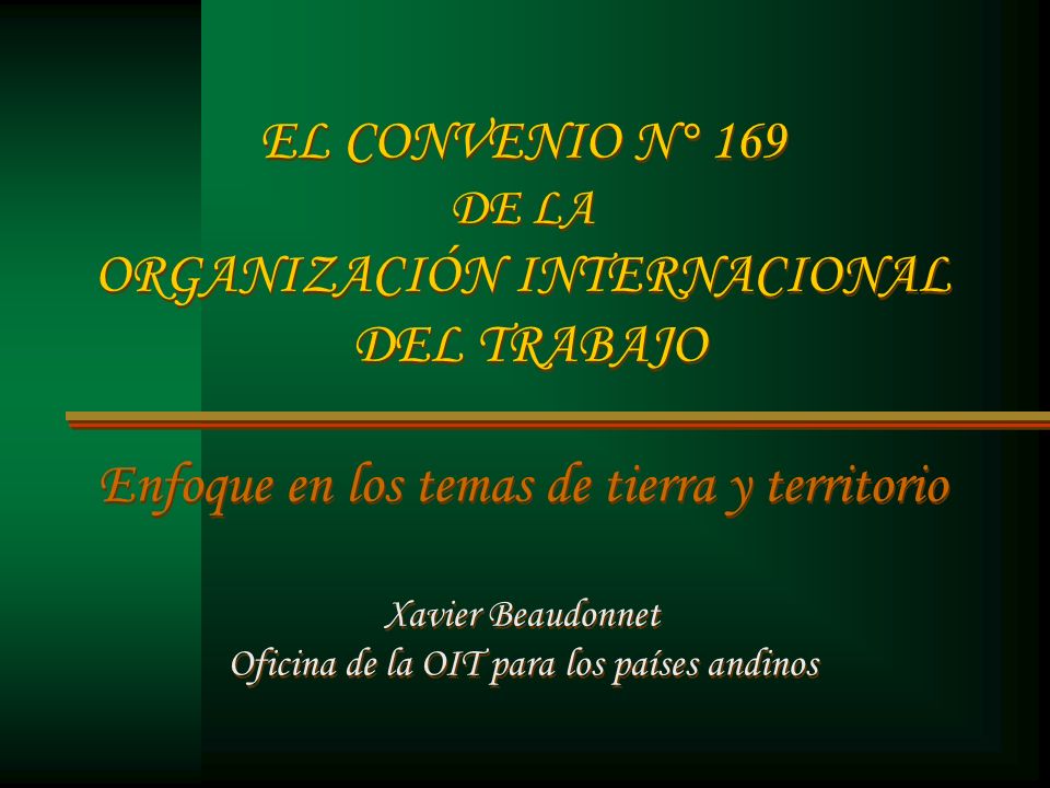 EL CONVENIO N° 169 DE LA ORGANIZACIÓN INTERNACIONAL DEL TRABAJO Enfoque en los temas de tierra y territorio Xavier Beaudonnet Oficina de la OIT para los países andinos