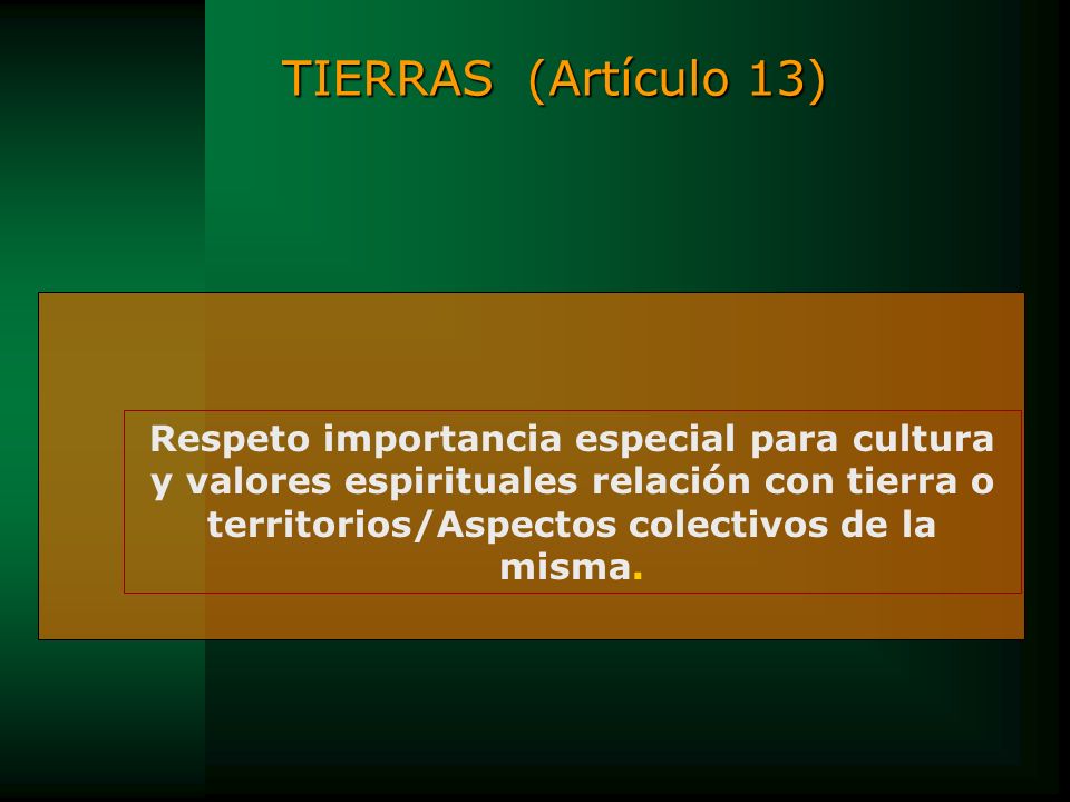TIERRAS (Artículo 13)