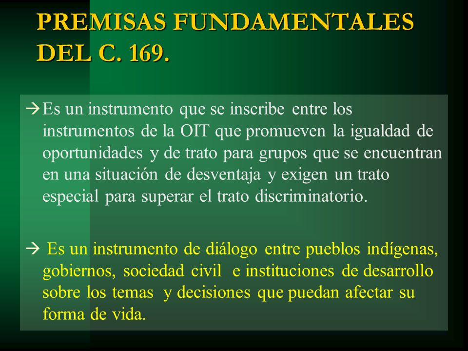PREMISAS FUNDAMENTALES DEL C. 169.