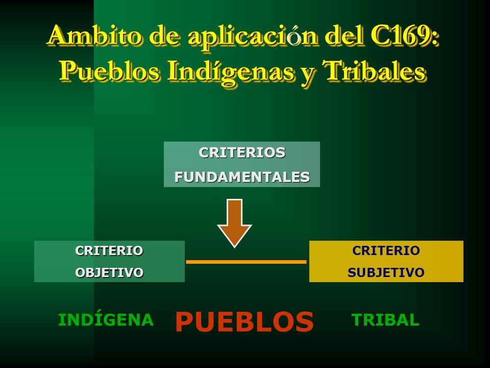 Ambito de aplicación del C169: Pueblos Indígenas y Tribales