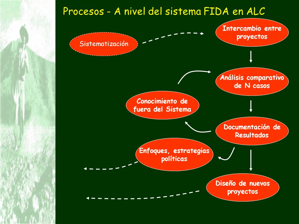 Procesos - A nivel del sistema FIDA en ALC