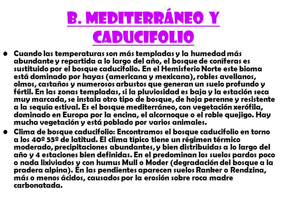 B. Mediterráneo y caducifolio