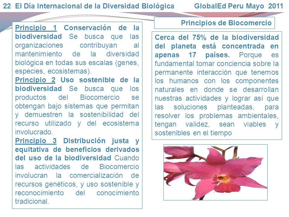 22 El Día Internacional de la Diversidad Biológica GlobalEd Peru Mayo 2011