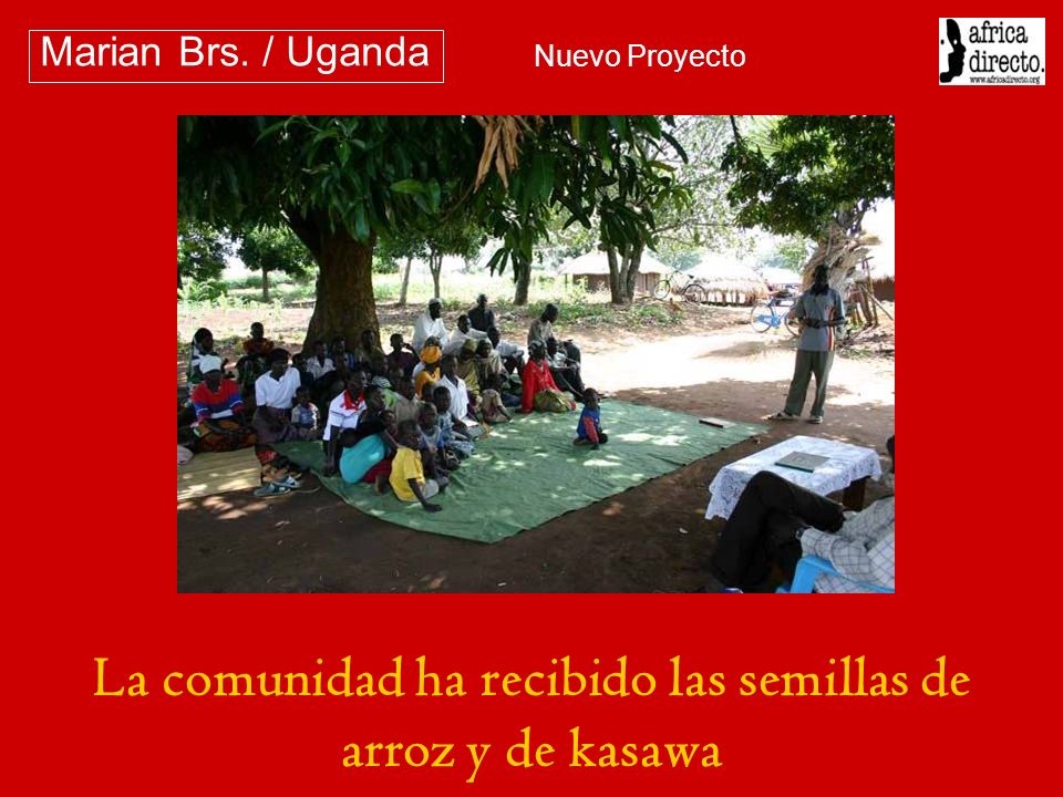 La comunidad ha recibido las semillas de arroz y de kasawa